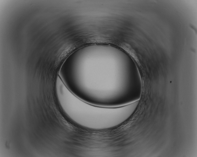 X0000091980109200709061200
