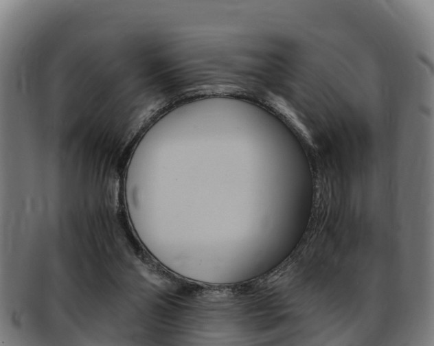 X0000091980110200709061200
