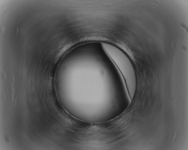 X0000091980111200709061200
