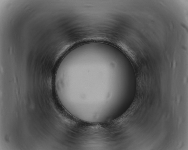 X0000091980112200709061200