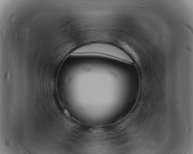 X0000091980113200709061200