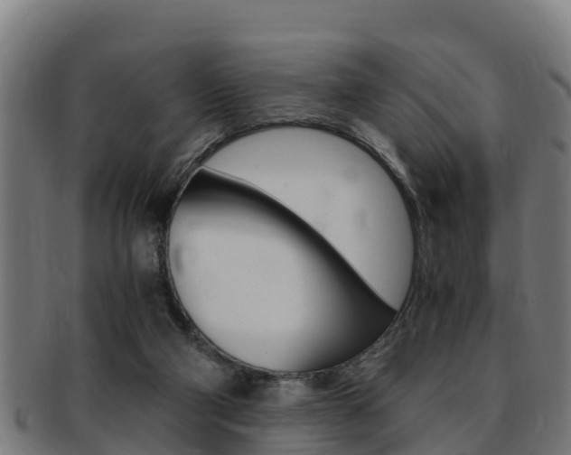 X0000091980114200709061200