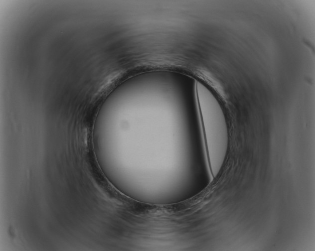 X0000091980115200709061200