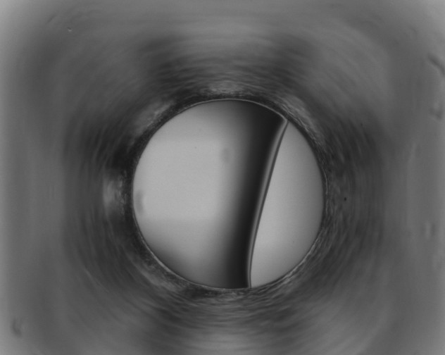 X0000091980116200709061200