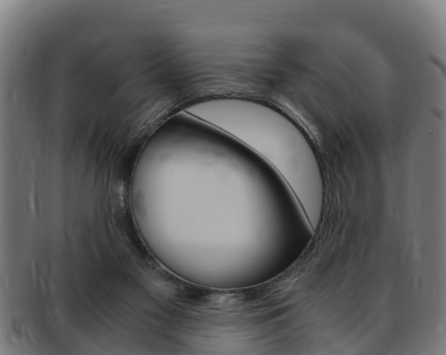X0000091980117200709061200