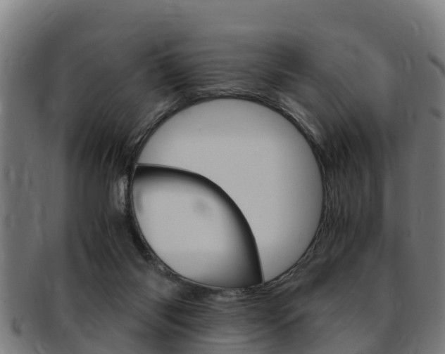 X0000091980118200709061200