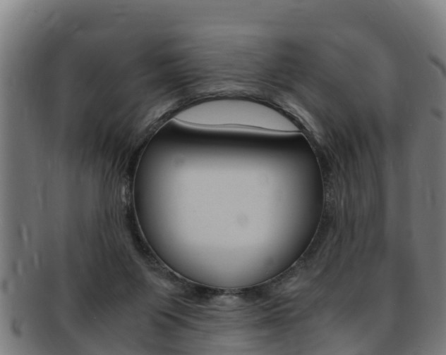 X0000091980119200709061200