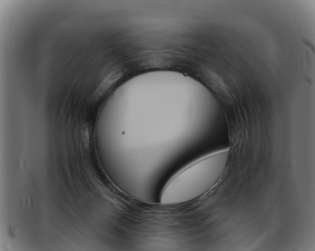 X0000091980120200709061200