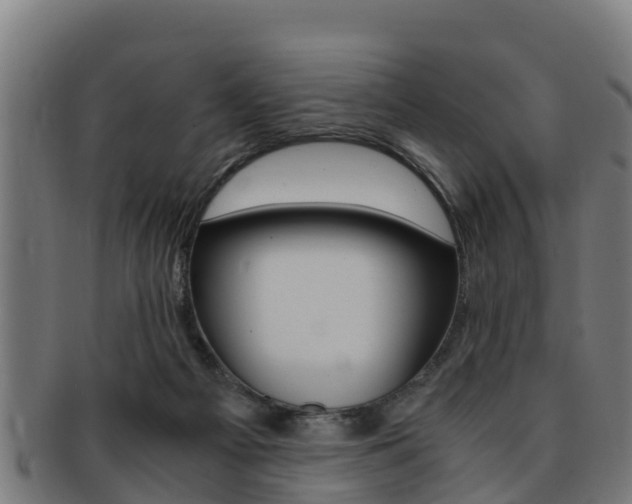 X0000091980121200709061200