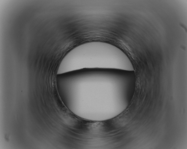 X0000091980122200709061200
