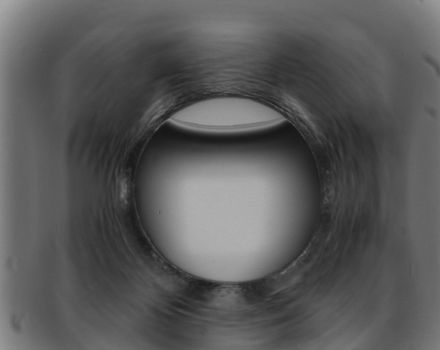 X0000091980124200709061200