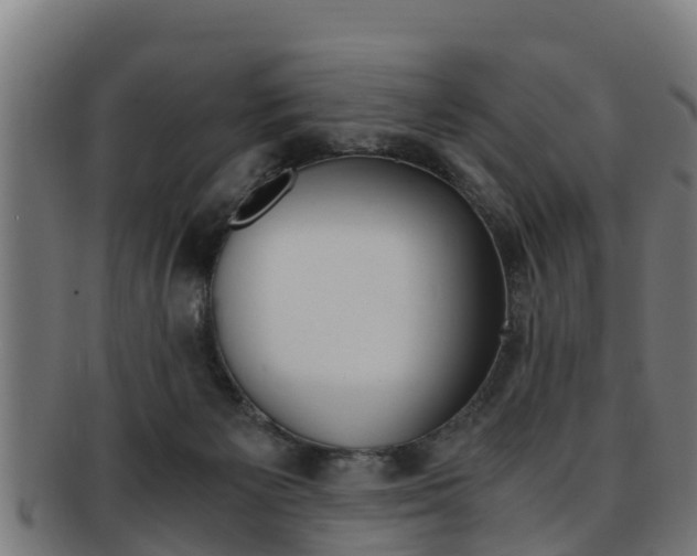 X0000091980125200709061200