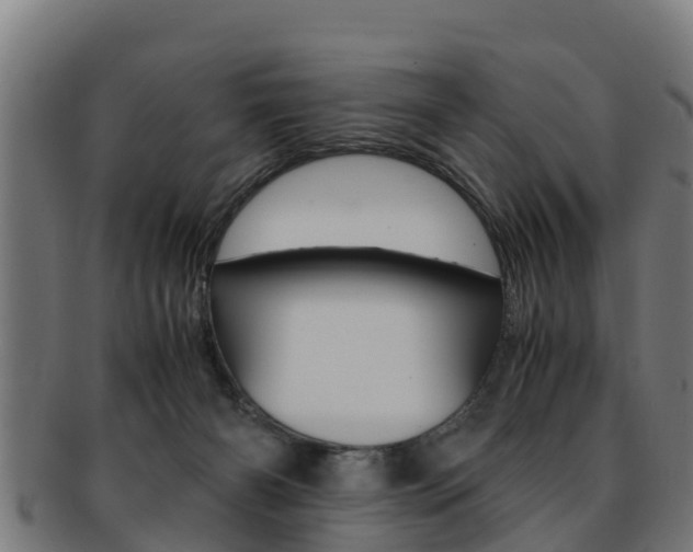 X0000091980126200709061200
