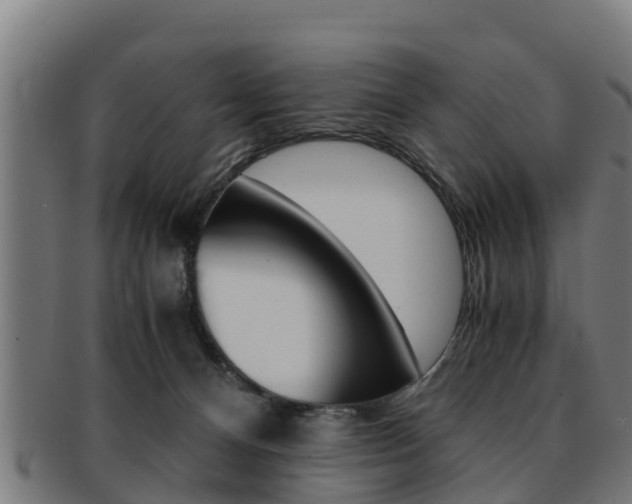 X0000091980128200709061200