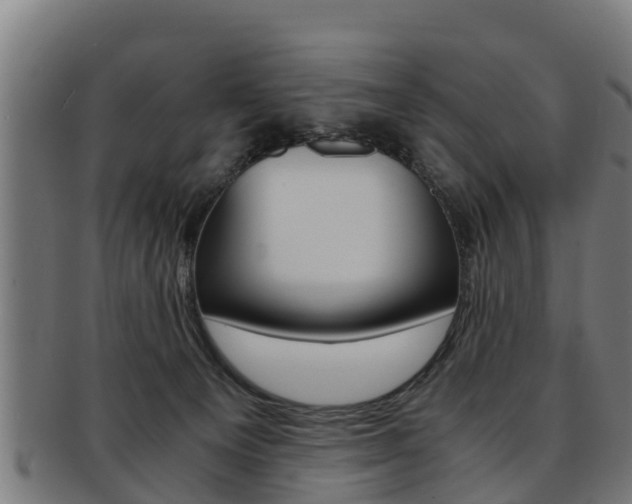X0000091980129200709061200