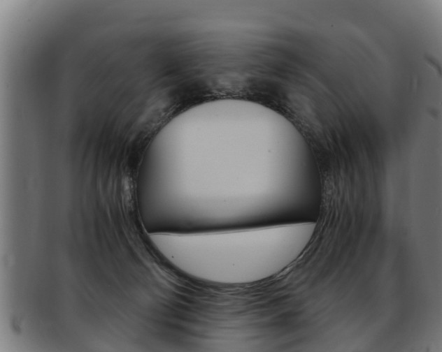 X0000091980130200709061200