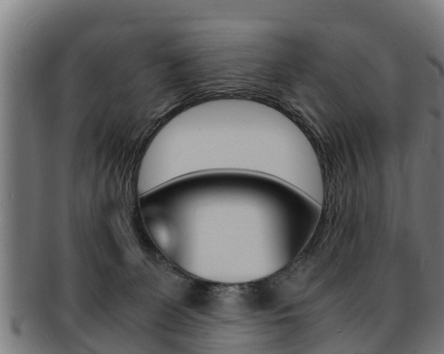 X0000091980131200709061200