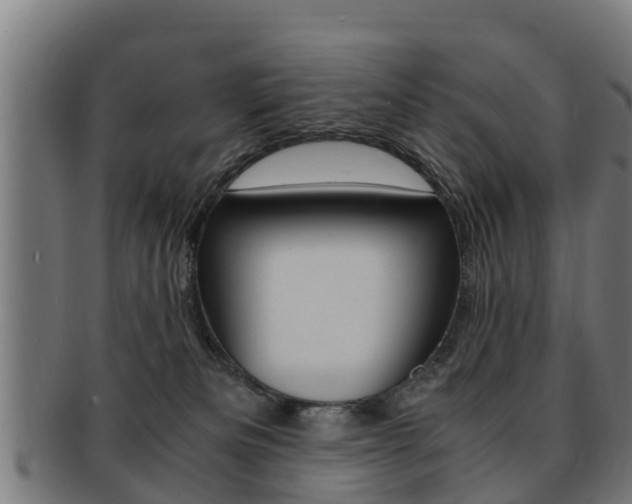 X0000091980133200709061200