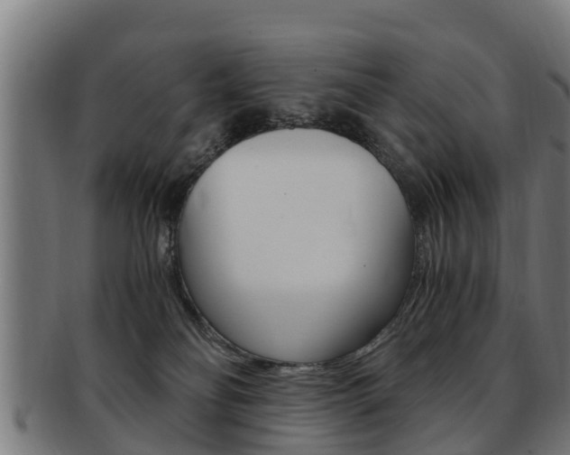 X0000091980134200709061200