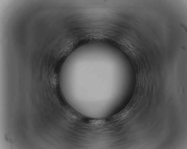 X0000091980135200709061200