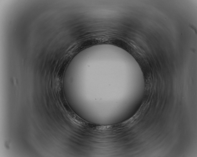X0000091980136200709061200