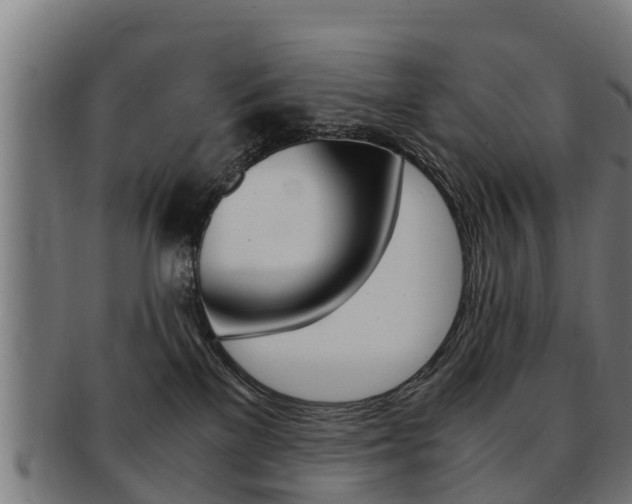 X0000091980137200709061200