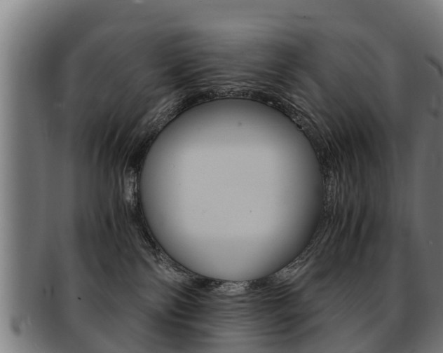 X0000091980138200709061200