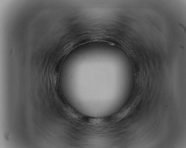 X0000091980139200709061200