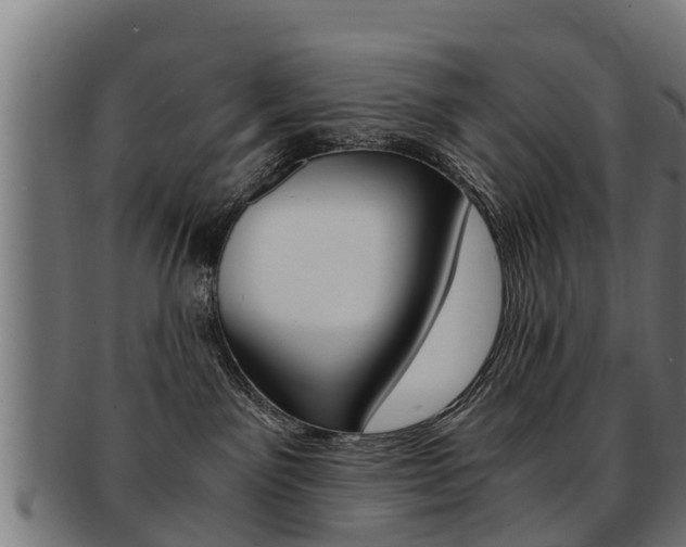 X0000091980141200709061200