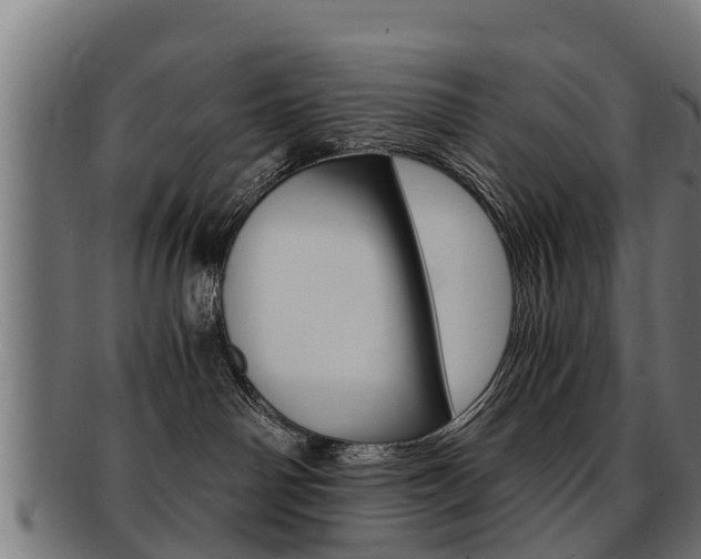 X0000091980142200709061200