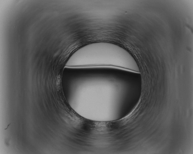 X0000091980144200709061200