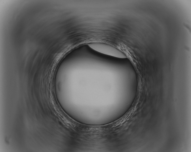 X0000091980145200709061159