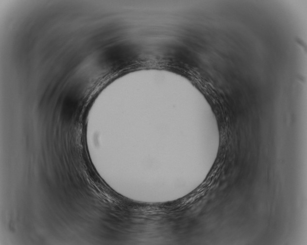 X0000091980146200709061159