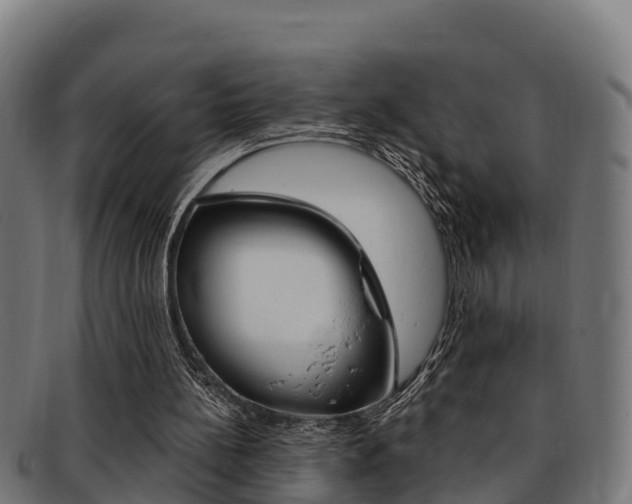 X0000091980148200709061159