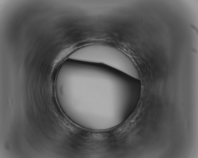 X0000091980149200709061159