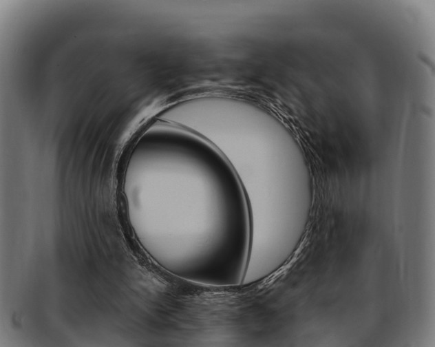 X0000091980150200709061159