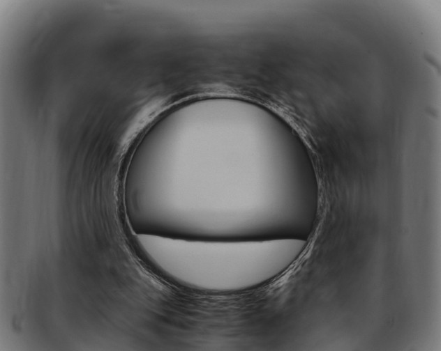 X0000091980151200709061159