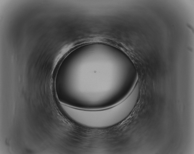 X0000091980152200709061159