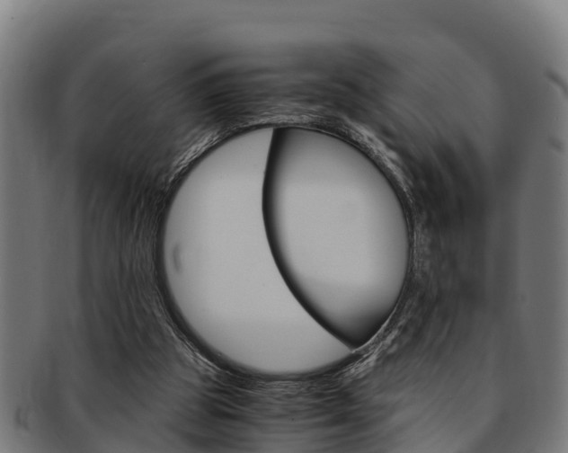 X0000091980153200709061159