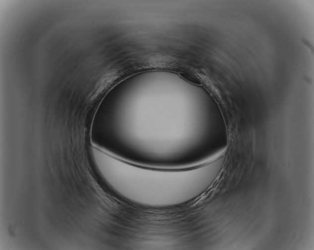 X0000091980154200709061159