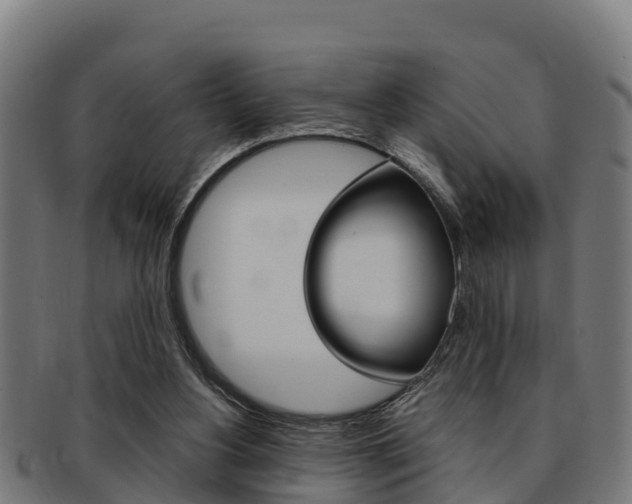 X0000091980156200709061159