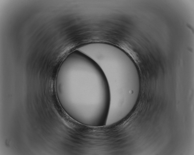 X0000091980157200709061159