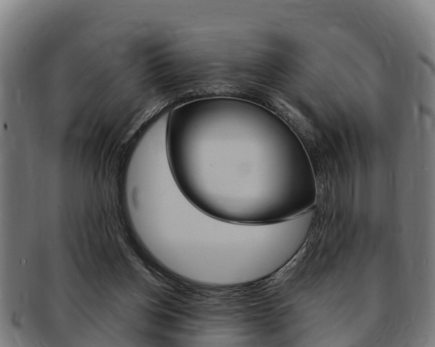 X0000091980158200709061159