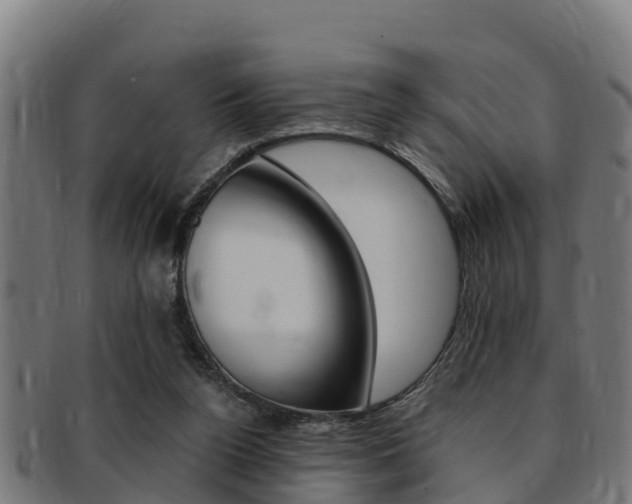 X0000091980160200709061159