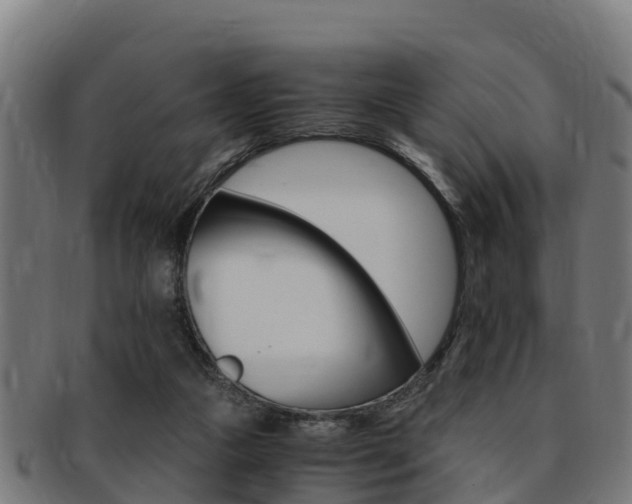 X0000091980161200709061159