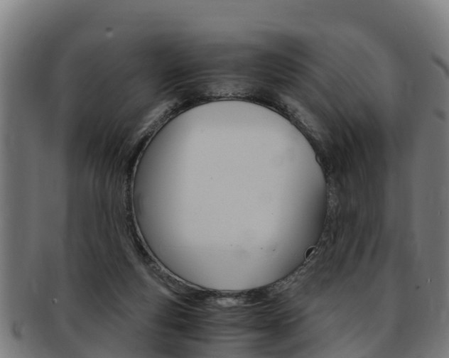 X0000091980163200709061159