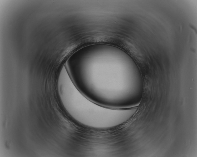 X0000091980164200709061159