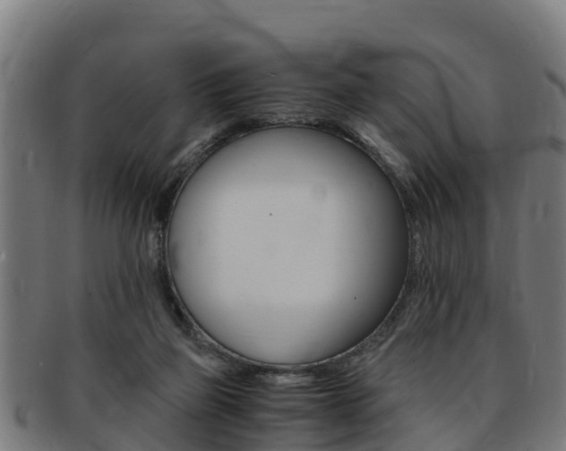 X0000091980165200709061159