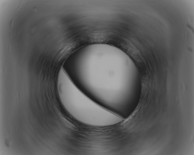 X0000091980166200709061159