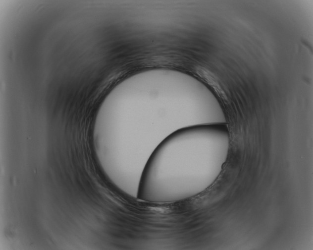 X0000091980167200709061159